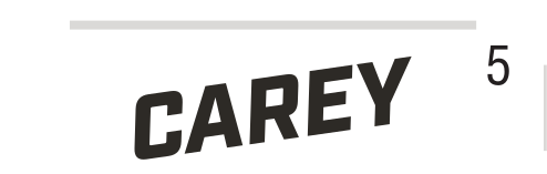 CAREY wordmark, extra slanted black on white variant, cell 51