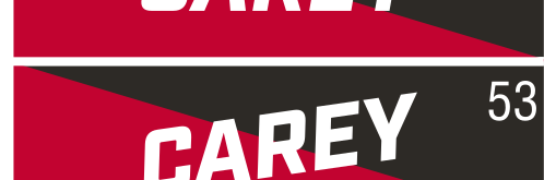 CAREY wordmark, extra slanted white on red background variant, cell 53