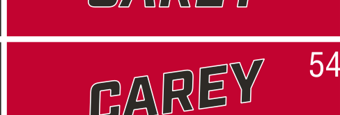 CAREY wordmark, extra slanted red on black background variant, cell 54