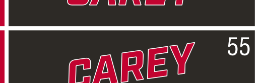 CAREY wordmark, extra slanted red on black background variant, cell 55