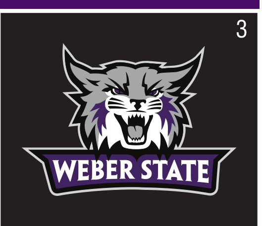 Primary Athletic Logo, full color on black variant, cell 3