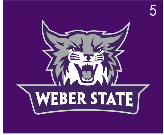 Primary Athletic Logo, purple/white on purple variant, cell 5