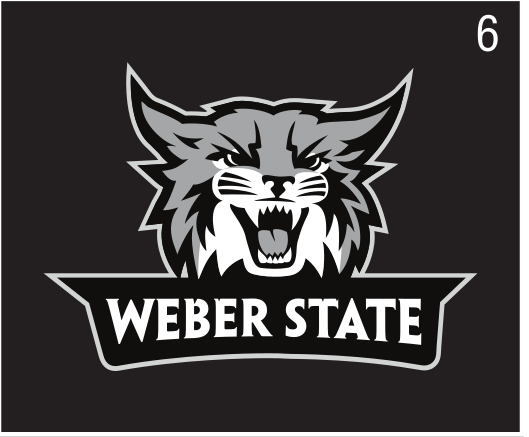 Primary Athletic Logo, purple/white on black variant, cell 6