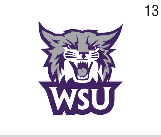 Secondary Athletic Logo, purple/white on white variant, cell 13
