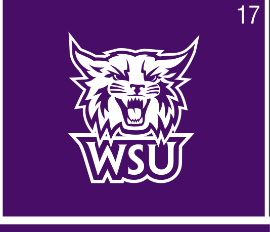 Secondary Athletic Logo, white outline on purple variant, cell 17