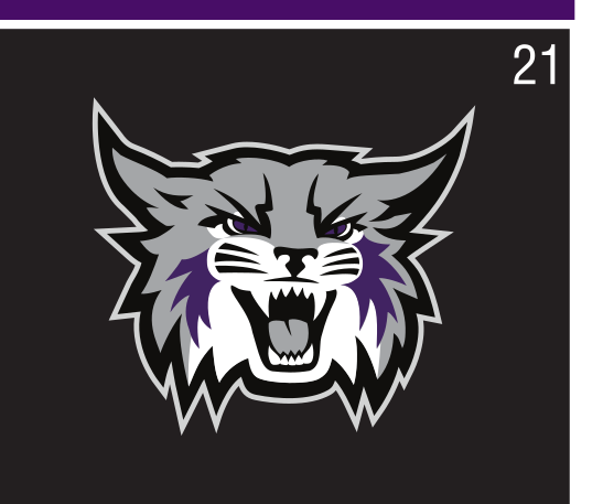 Mascot Logo, full color on black variant, cell 21