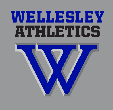 Wellesley Athletics wordmark over W lettermark, blue/grey on grey variant, cell 28