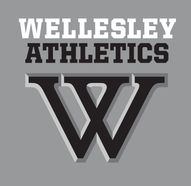 Wellesley Athletics wordmark over W lettermark, black/grey on grey variant, cell 29