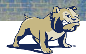 bulldog mascot, full body, color variant