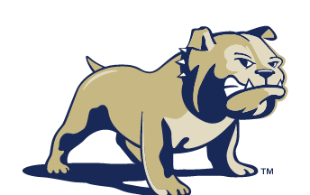 bulldog mascot, full body, color variant