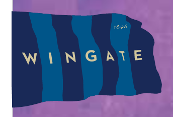 flying flag, color variant