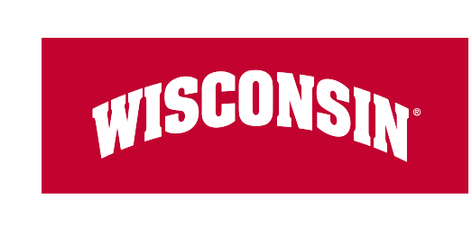 Wisconsin wordmark, white arched on red variant