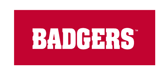 Badgers wordmark, white on red variant