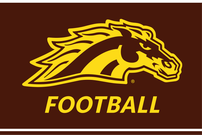 Bronco head with FOOTBALL wordmark, gold/brown on brown variant, cell 29