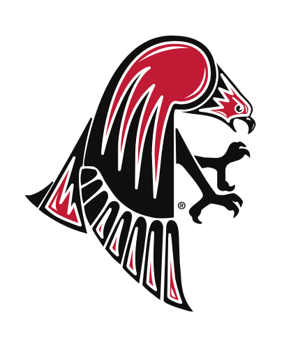 Falcon head with wing, full color variant, cell 50