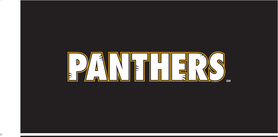 PANTHERS wordmark, white with gold outline on black variant, cell 33