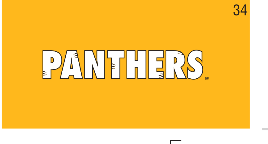 PANTHERS wordmark, white with gold outline on gold variant, cell 34