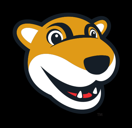 Butch T. Cougar mascot head, full color variant, cell 17