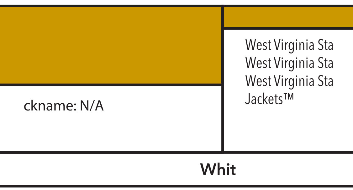West Virginia State University (WVS)