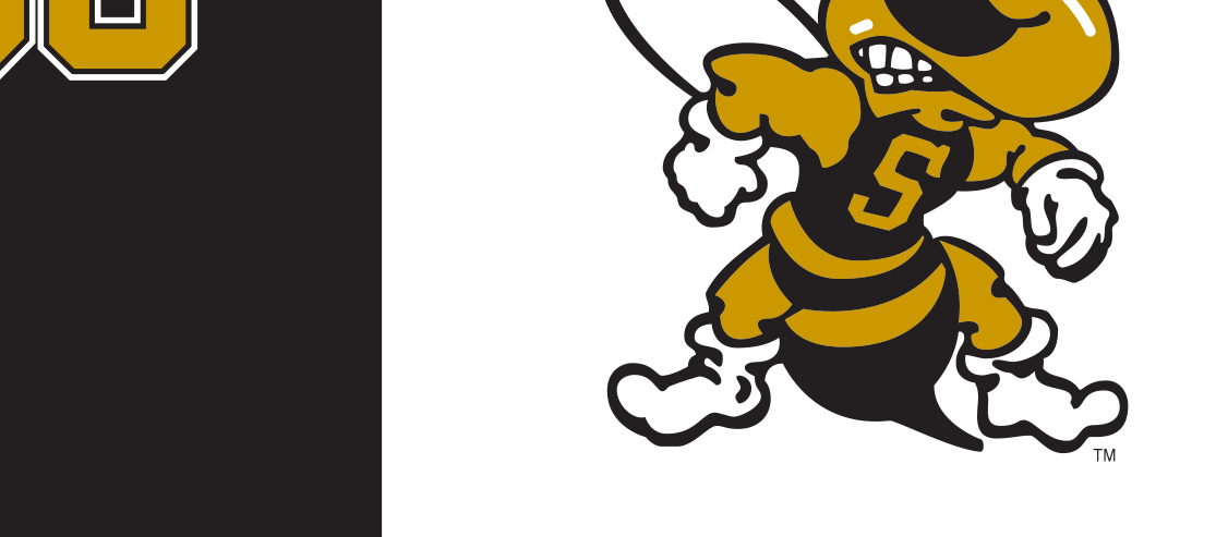 hornet mascot, full color variant, cell 5