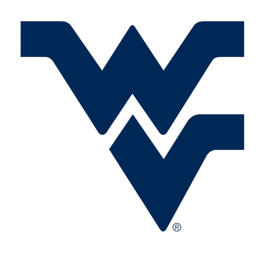 Flying WV, blue variant, cell 2