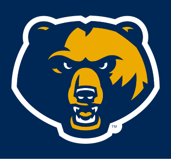 Bear Head, full color variant, cell 4