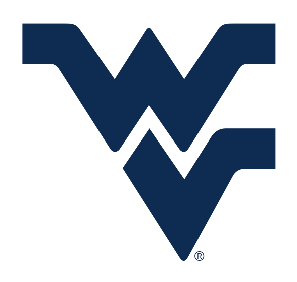 Flying WV, blue variant, cell 2