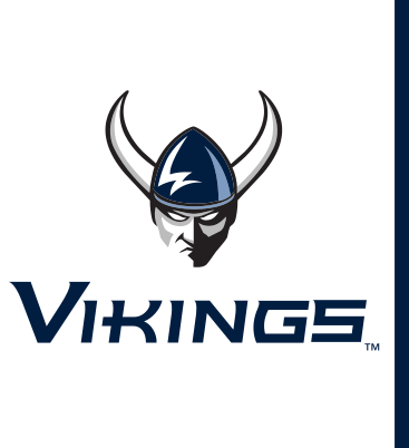 Vikings secondary mark, color on white variant, cell 7