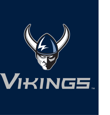 Vikings secondary mark, color on dark variant, cell 8