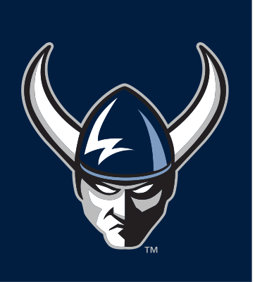 Viking helmet logo, front view, color on dark variant, cell 12