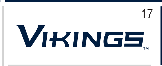 Vikings wordmark, color on white variant, cell 17