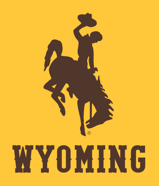 Wyoming Bucking Horse + Wordmark, brown on gold variant