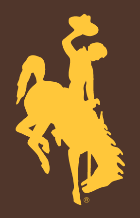 Wyoming Bucking Horse, gold on brown variant