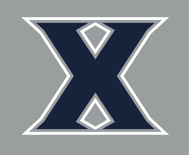 primary logo, blue/grey on grey variant, cell 3