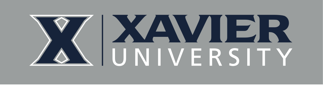 university signature, horizontal blue/grey on grey variant, cell 13