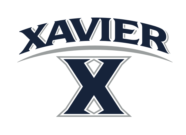 wordmark with X, blue and grey variant, cell 53