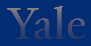 Yale wordmark, gradient variant