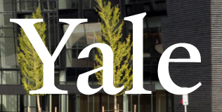 Yale wordmark, white on busy background variant