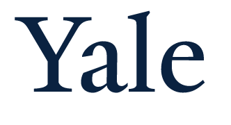 Yale wordmark, shadow variant