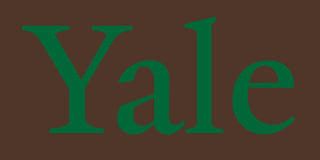 Yale wordmark, off-brand color variant