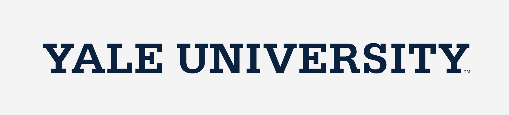 YALE UNIVERSITY wordmark, slab serif, navy variant