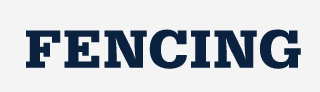 Fencing, wordmark variant