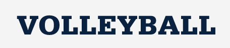 Volleyball, wordmark variant