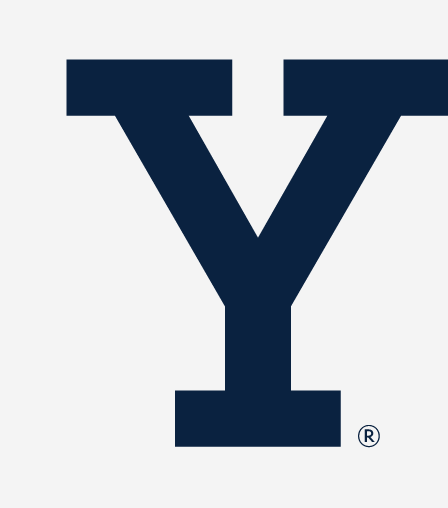 Yale Y, solid navy variant