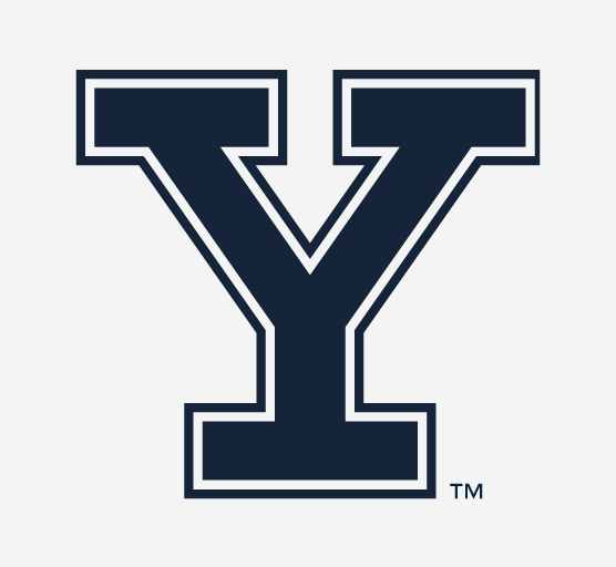 Yale Y, outlined navy variant