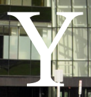 Yale Y, white on busy background variant