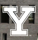Yale Y, white on busy background variant