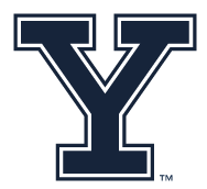Yale Athletic Y, PMS 289 variant