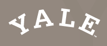 Yale Arc, White on PMS Warm Gray 7 variant