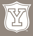 Yale Vintage Shield, White on PMS Warm Gray 7 variant